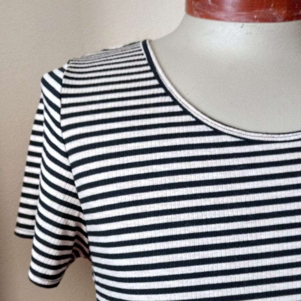 Lularoe Classic Tee, 3xl